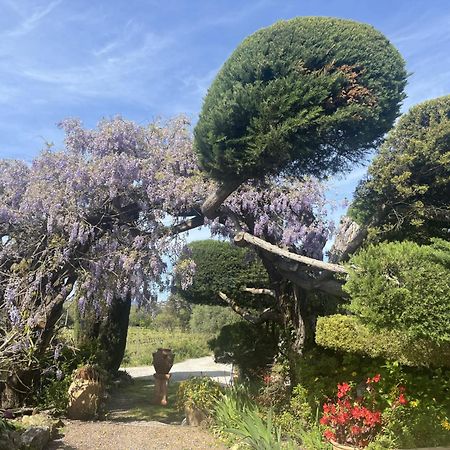 La Maison De Justine Grimaud Exteriör bild