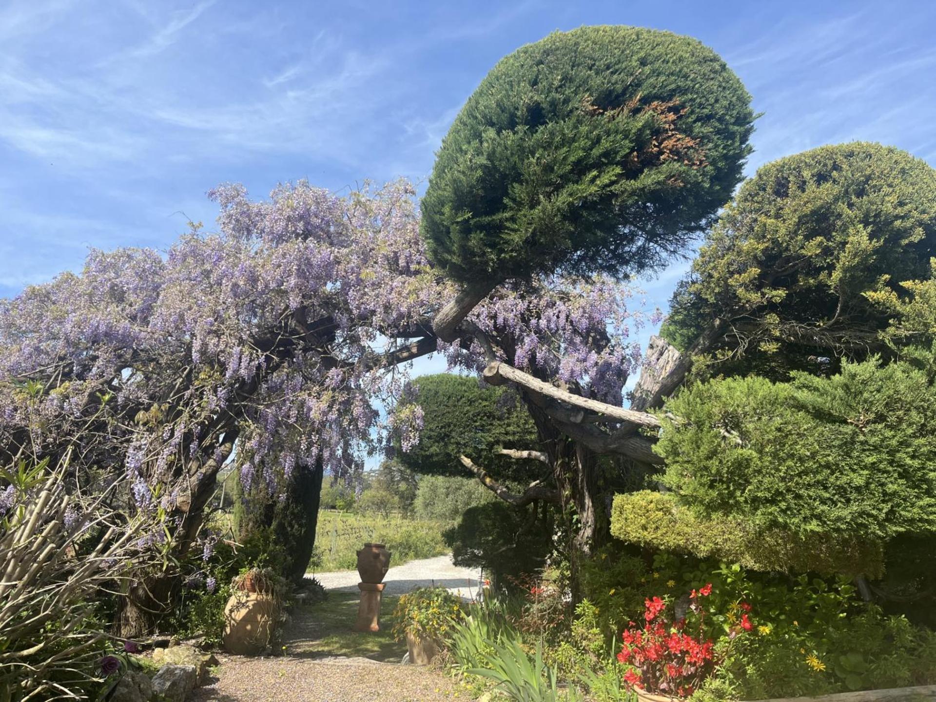 La Maison De Justine Grimaud Exteriör bild